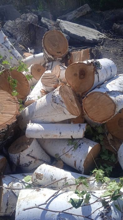 Продам дрова. Доска необрезная