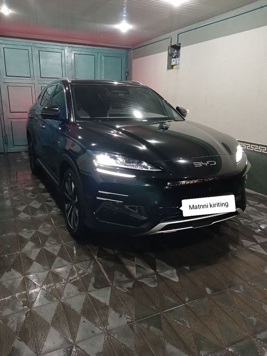 Byd chempion smart