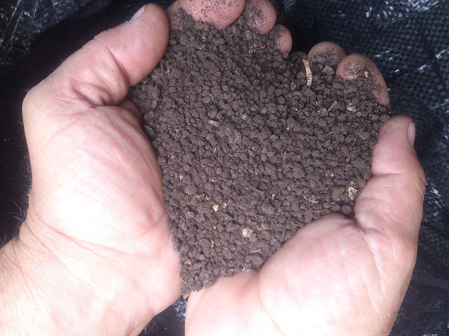 Тор - 100% биотор от Червен калифорнийски червеи (Био Тор, хумус, почв