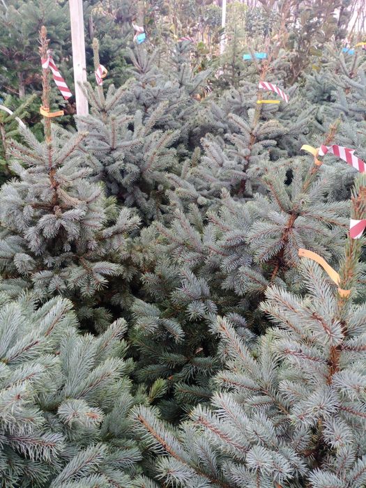 Гарантия качество