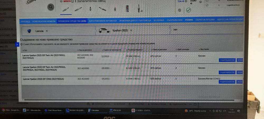 Запалителни свещи BOSH