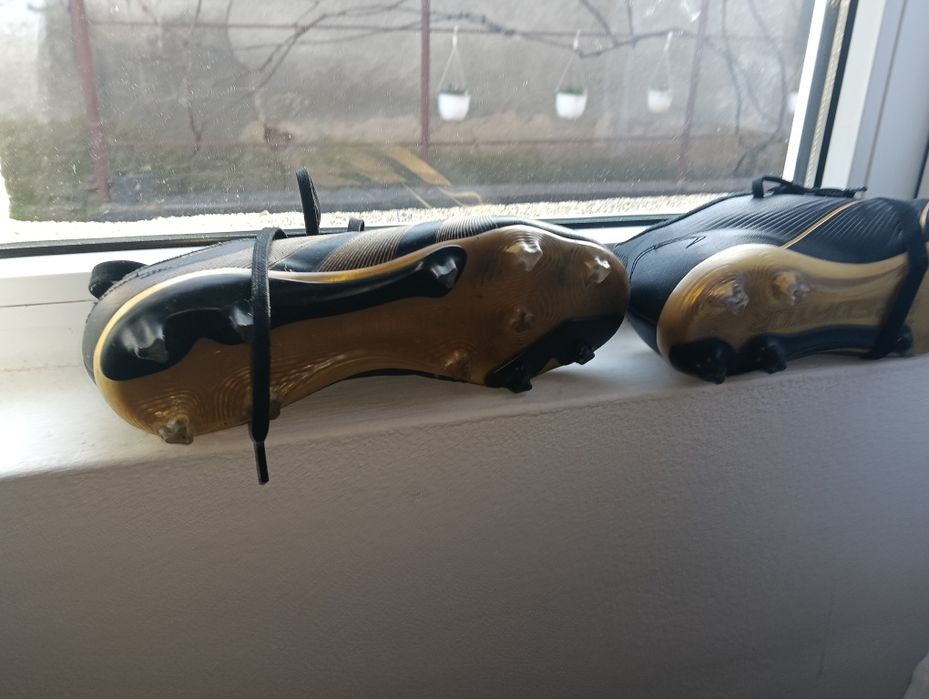 Ghete predător de buna calitate negociabil