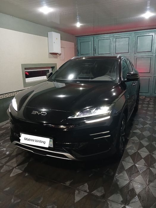 Byd chempion smart