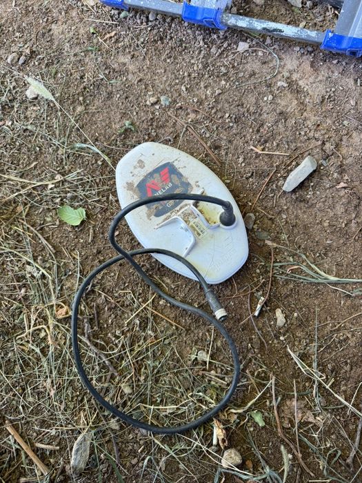 MineLab 1000 б/у