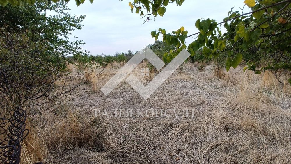 Продава се Парцел в с. Върбен, Област Пловдив - 1449 кв.м за 7 €/кв.м - Снимка #2