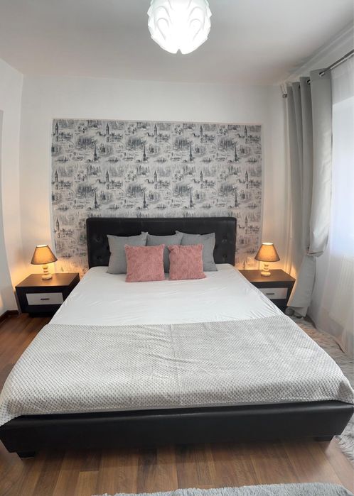 Apartament 2 camere Pacurari