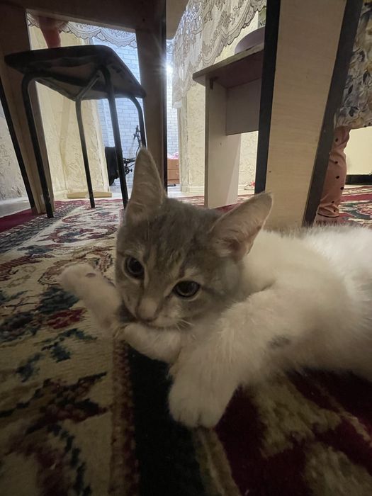 3 месяца девочка