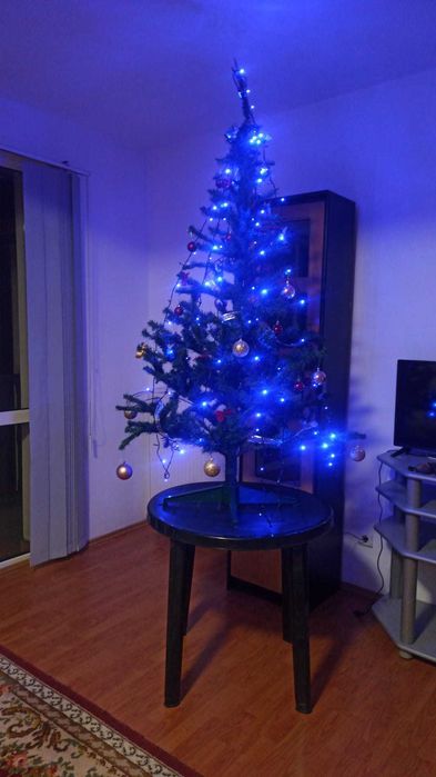 Cazare apart in vila Sinaia