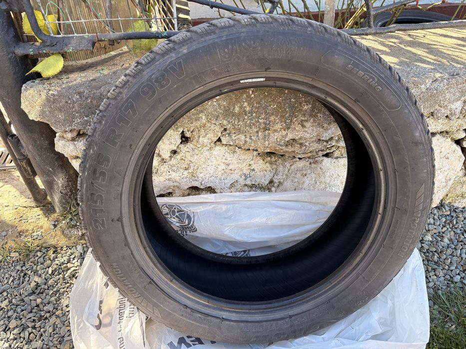 Anvelope iarna SEBRING R17 215/55