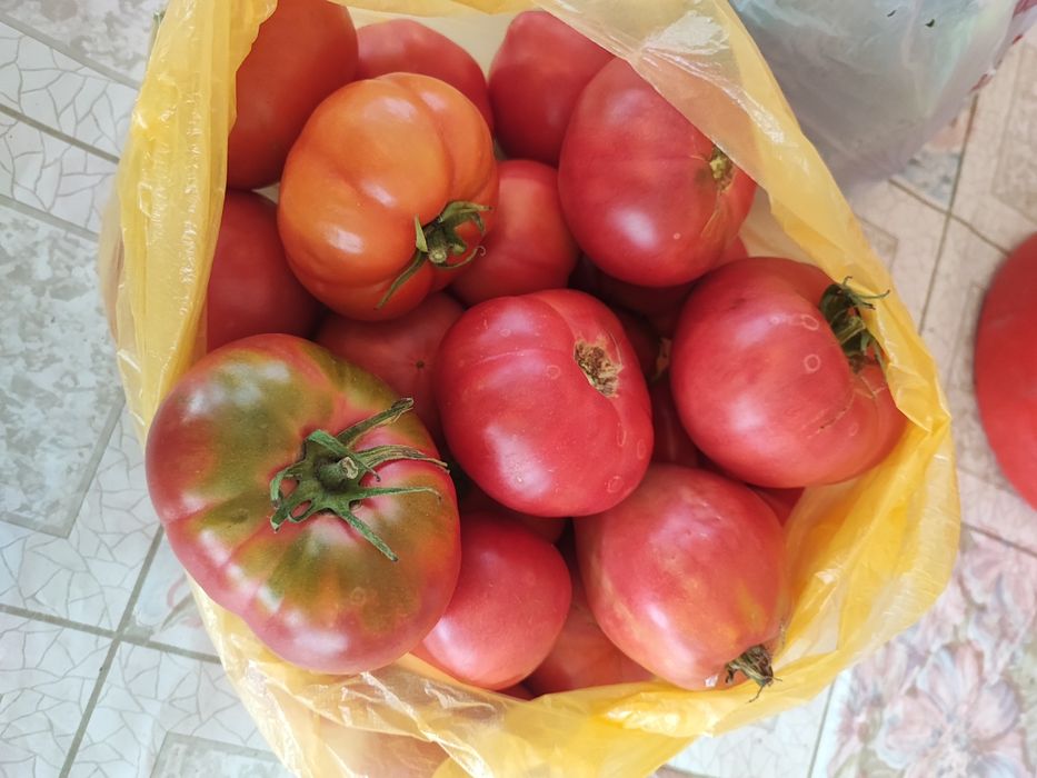 Продам домашние помидоры