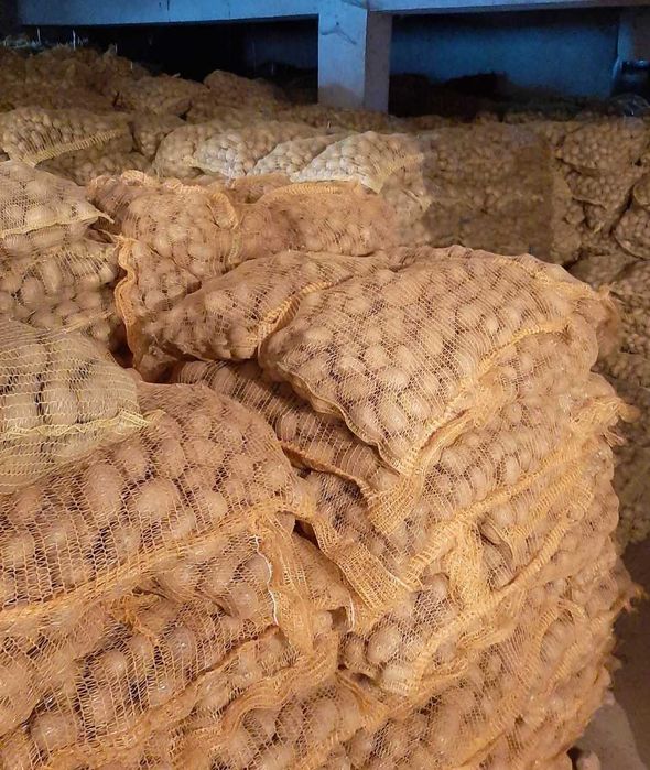 Семена - Картофи