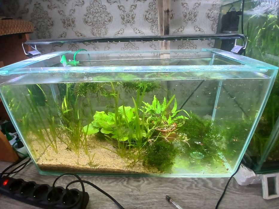 Продам аквариум 60 л с рыбками