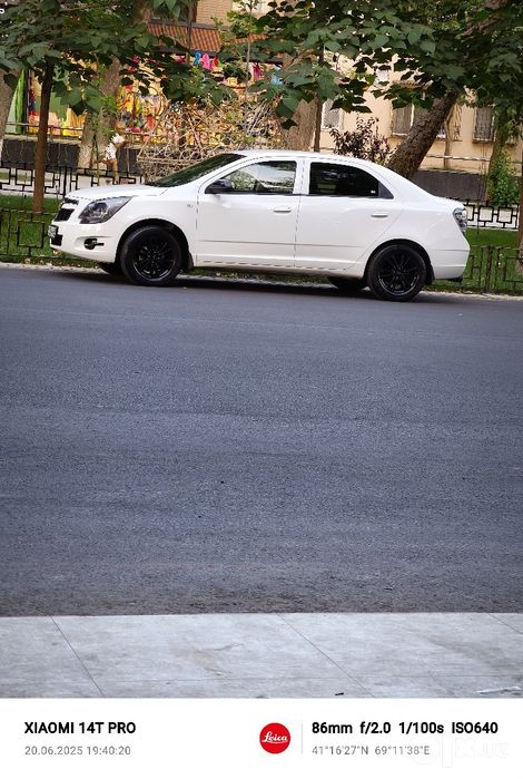 Cobalt midnight 2025