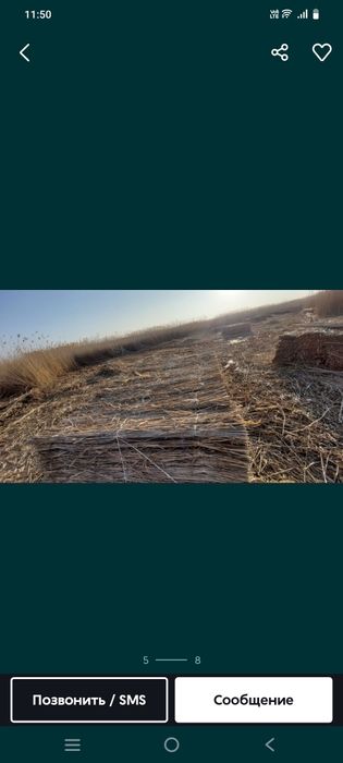 Камыш продам цена договорная