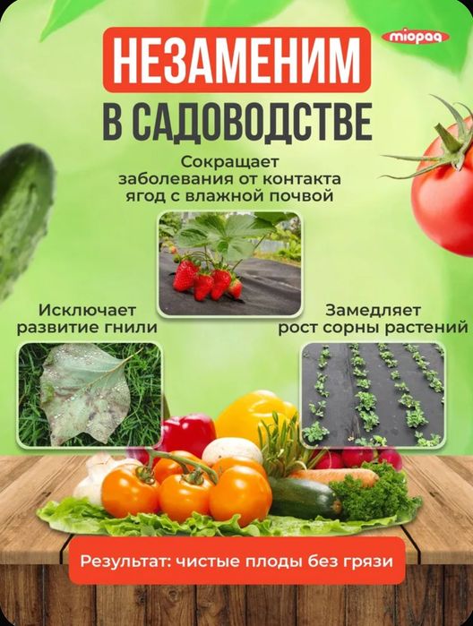Спанбонд (агроспан, агроткань, агротекстиль) 3.2м черный