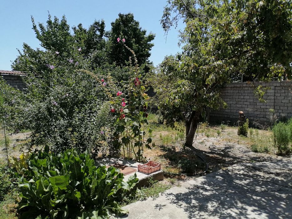 Срочно участка сотилади. 4.5 сотих