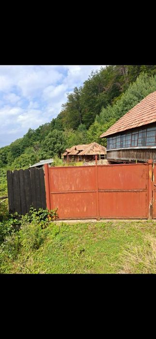 Casa veche la munte cu teren de 7500m2