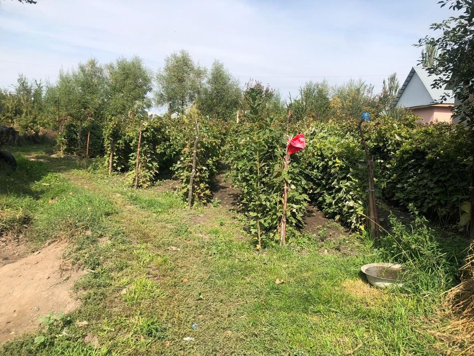 Продаётся дом  в Красном востоке