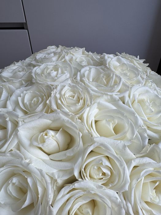 Розы белые 25000