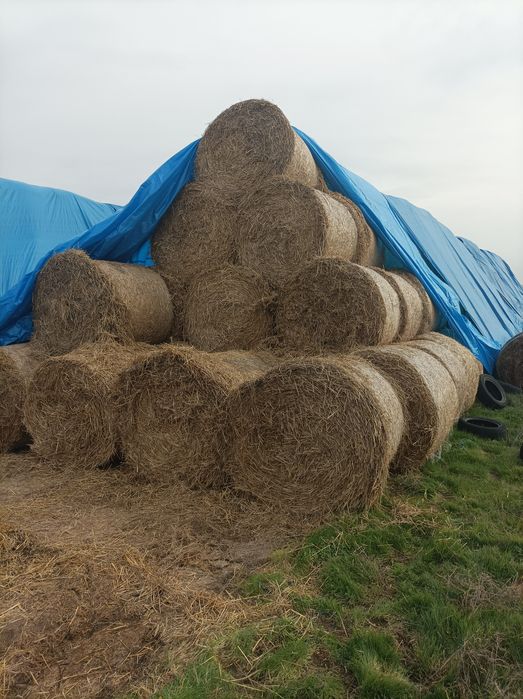 Продавам Ролонни бали ечимик,пшеница,сено и люцерна