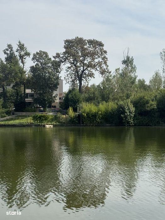 Teren Mogosoaia Lac