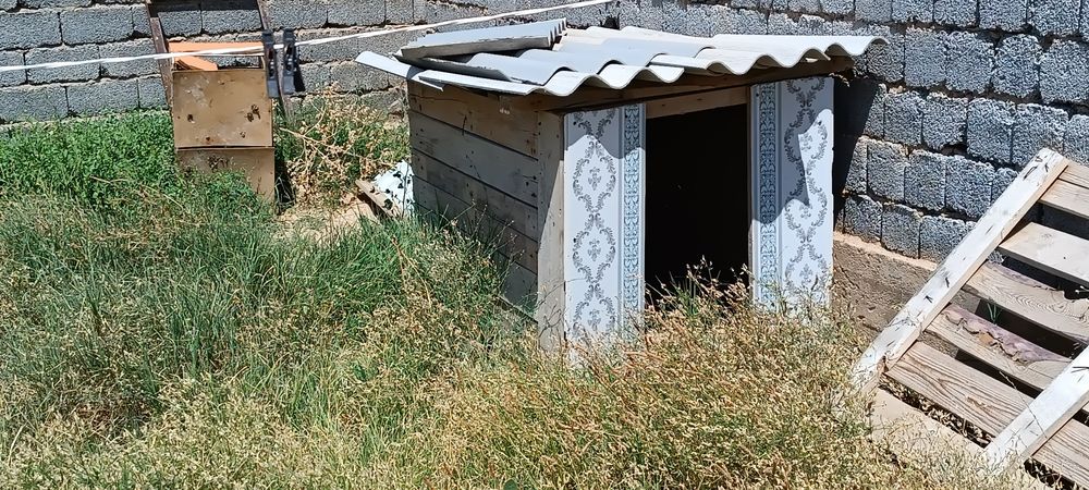 Будка алабай итке арналған