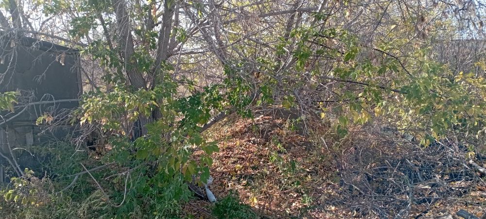 Продам участок с домом срочно срочно.