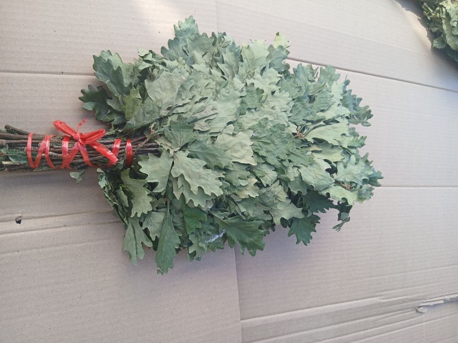 Дубовые веники для бани