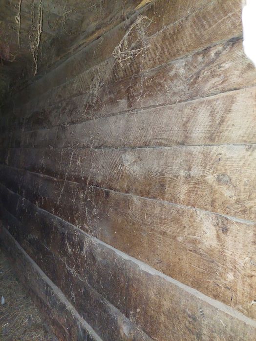 Lemn vechi de stejar, de gorun.