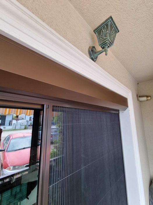 Plase de insecte / Site de insecte - PLISSE