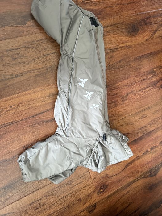 Одежда для собак