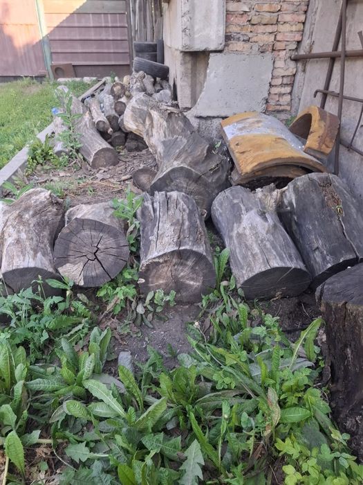 Дрова (чурки сухие) бесплатно!