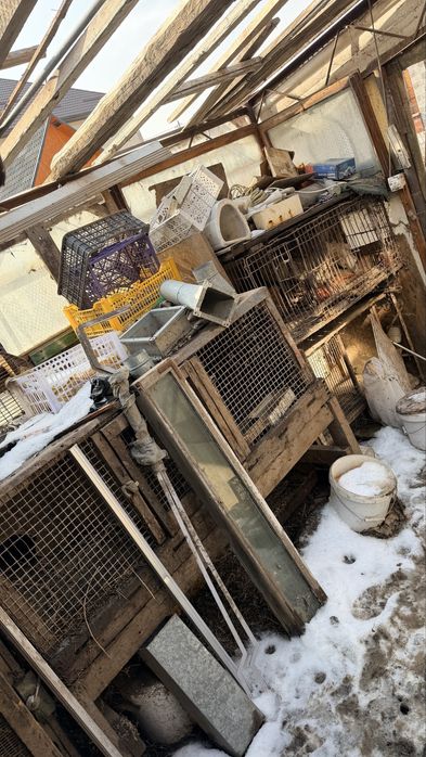 Клетки для кролов