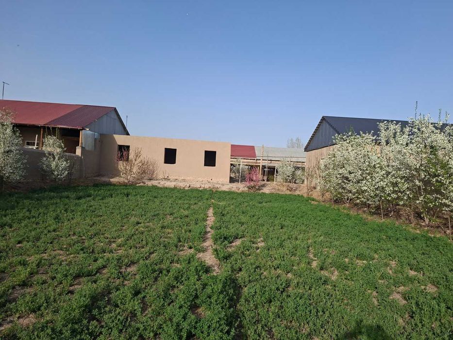 Yangiariq tumani Sherobod MFYda qurilishi tugallanmagan hovli joy