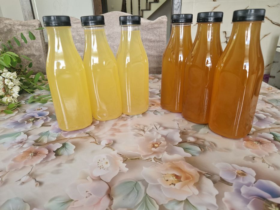 Sirop natural concentrat din muguri de brad presat la rece si sirop din flori de soc cu lamaie si menta