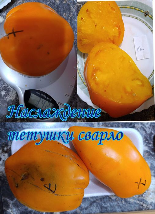 продам емена томатов и перцев