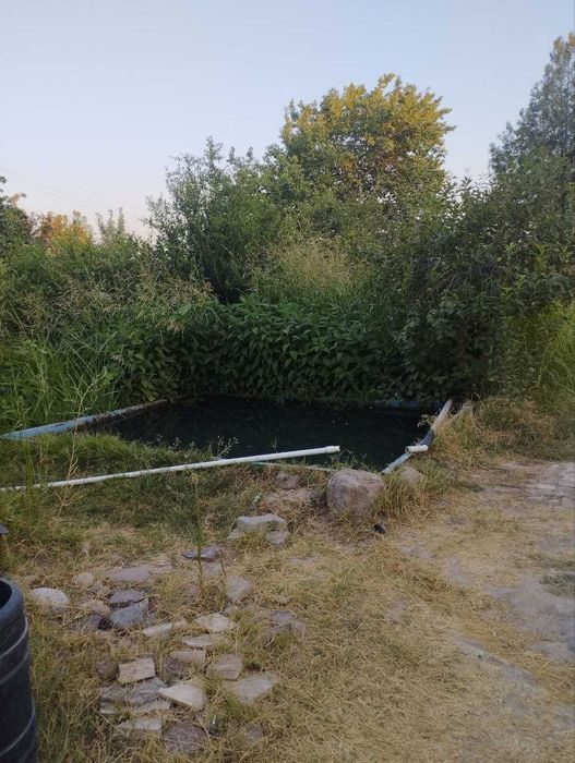 Дала Ховли 10,5 соток