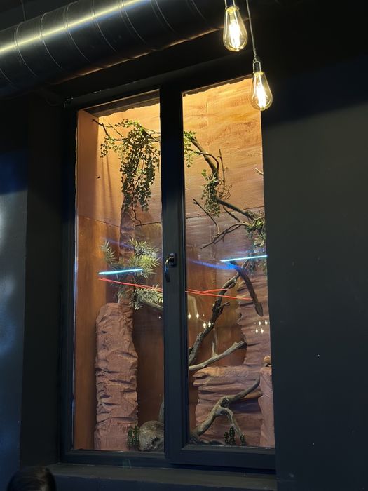 Готовый бизнес в аренду — QËLN 4.000$ / месяц