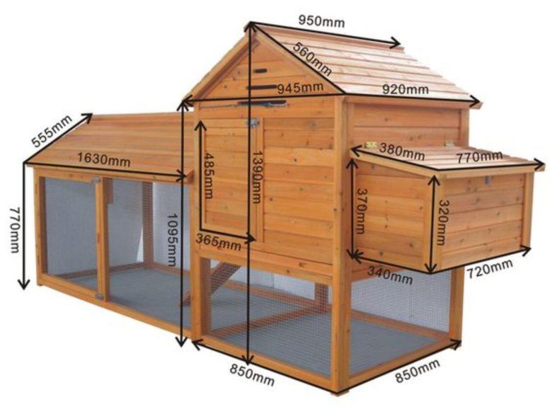 Павлинник на заказ