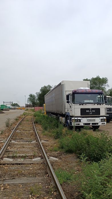 Ман Камондор 1995 года