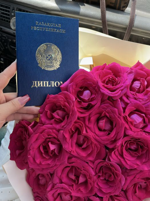 Свежий гул келысым бар