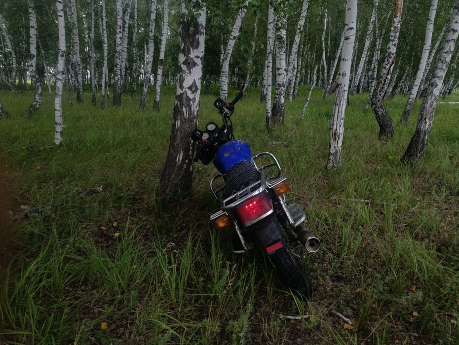 Sonlink 200cc k-10