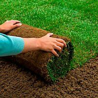 Газон Садовник Богбон