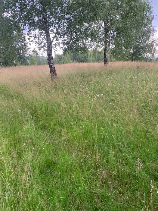 Vânzare teren intravilan 9200 mp