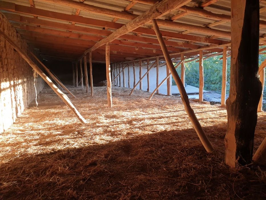 Uchastka sotiladi yangiyolda srochno