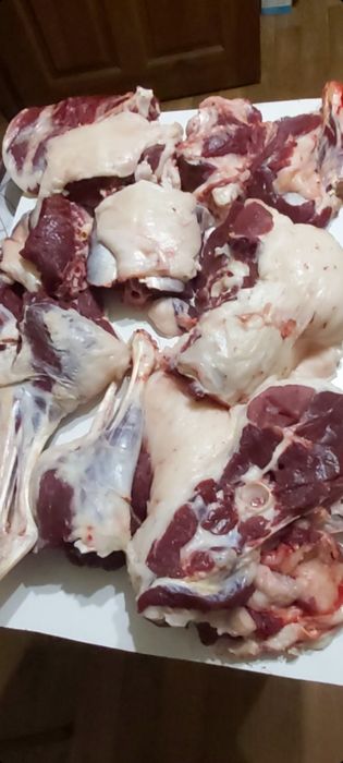 Молодая баранина