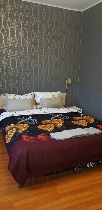 Vila Tania Predeal - inchiriere integral