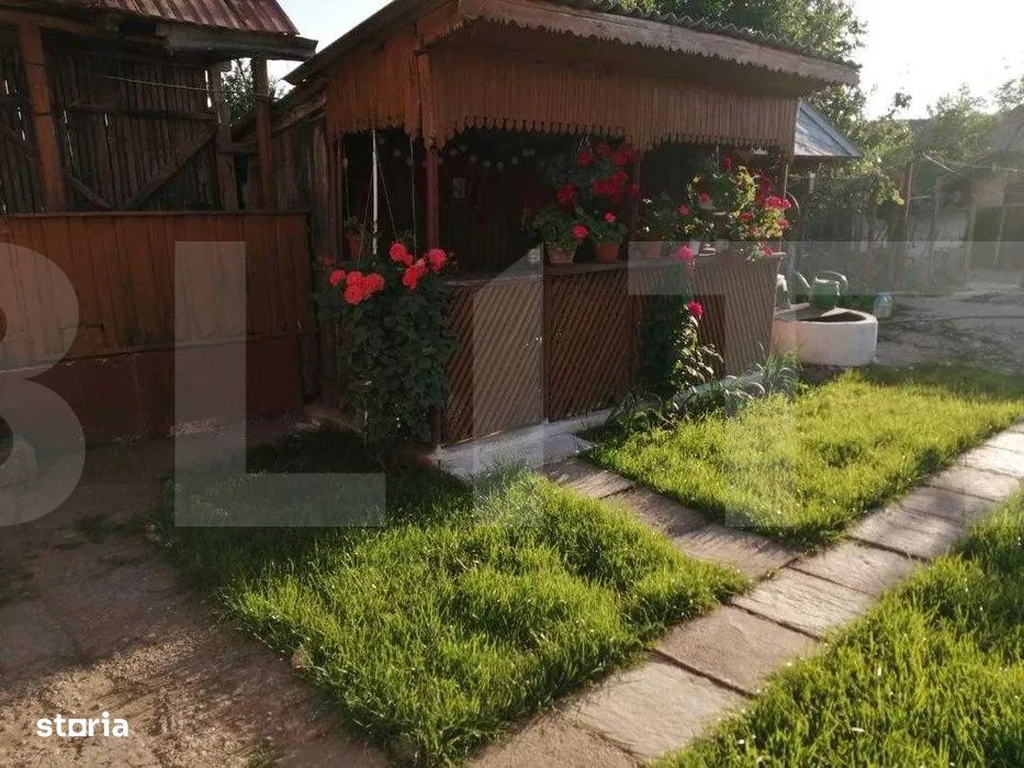 Casa din caramida cu teren urias 6.116 mp – Verguleasa (Olt)