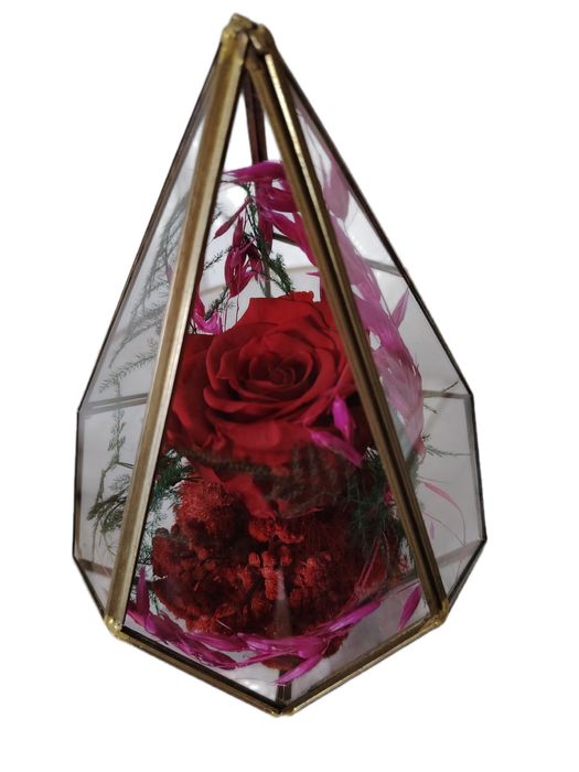 Trandafir Roșu Criogenat în Terariu de Sticlă – Cadou Elegant Premium