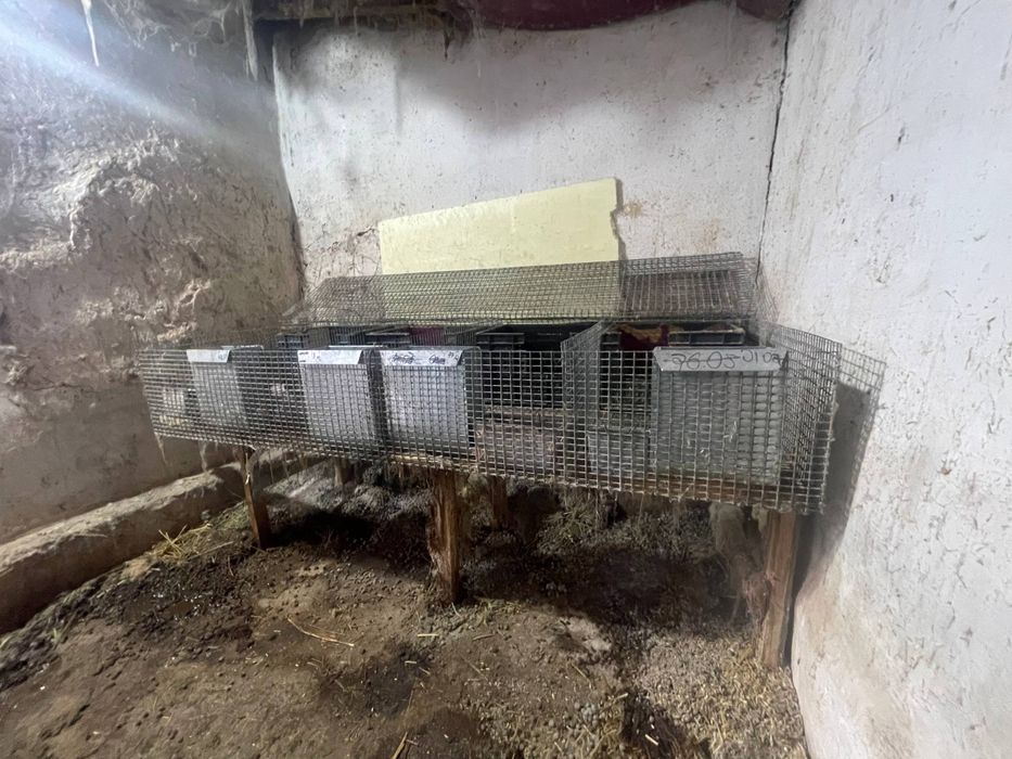 Клетки для кроликов птицы куры